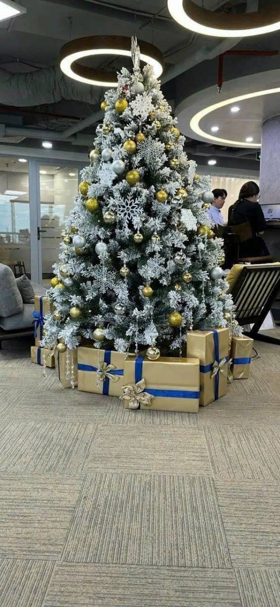 Báo Giá Trang Trí Cây Thông Noel Tại Quận 6. Ảnh 1